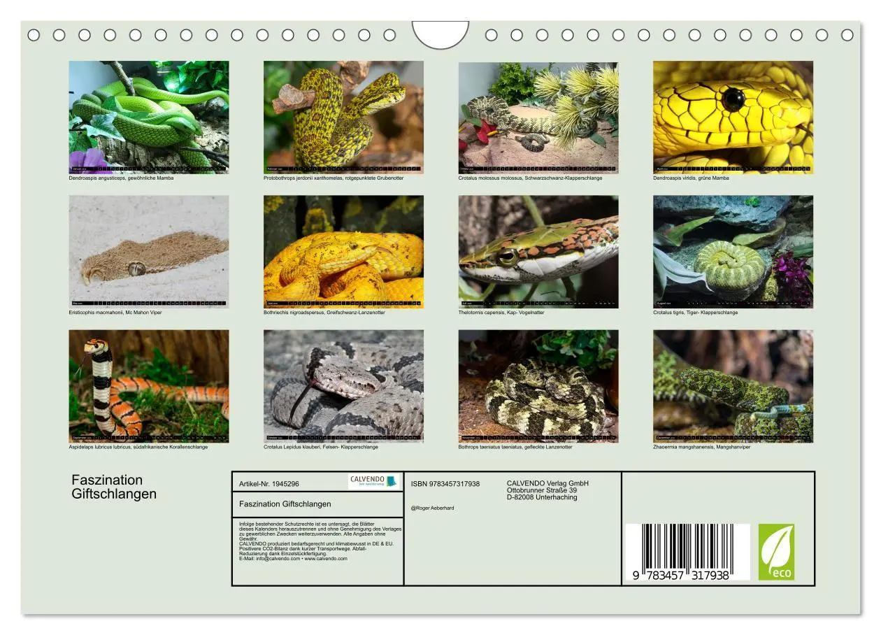 Bild: 9783457317938 | Faszination Giftschlangen (Wandkalender 2026 DIN A4 quer), CALVENDO...