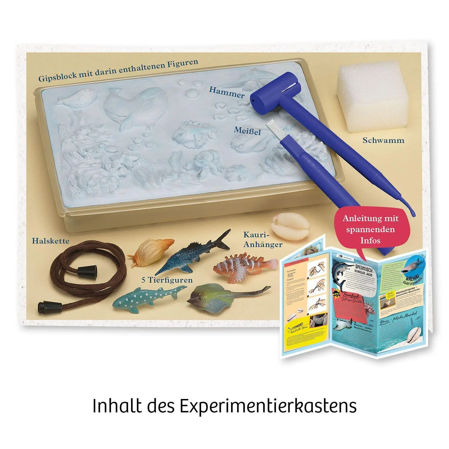 Bild: 4002051658038 | Meeres-Abenteuer | Experimentierkasten | Spiel | Brettspiel | 658038