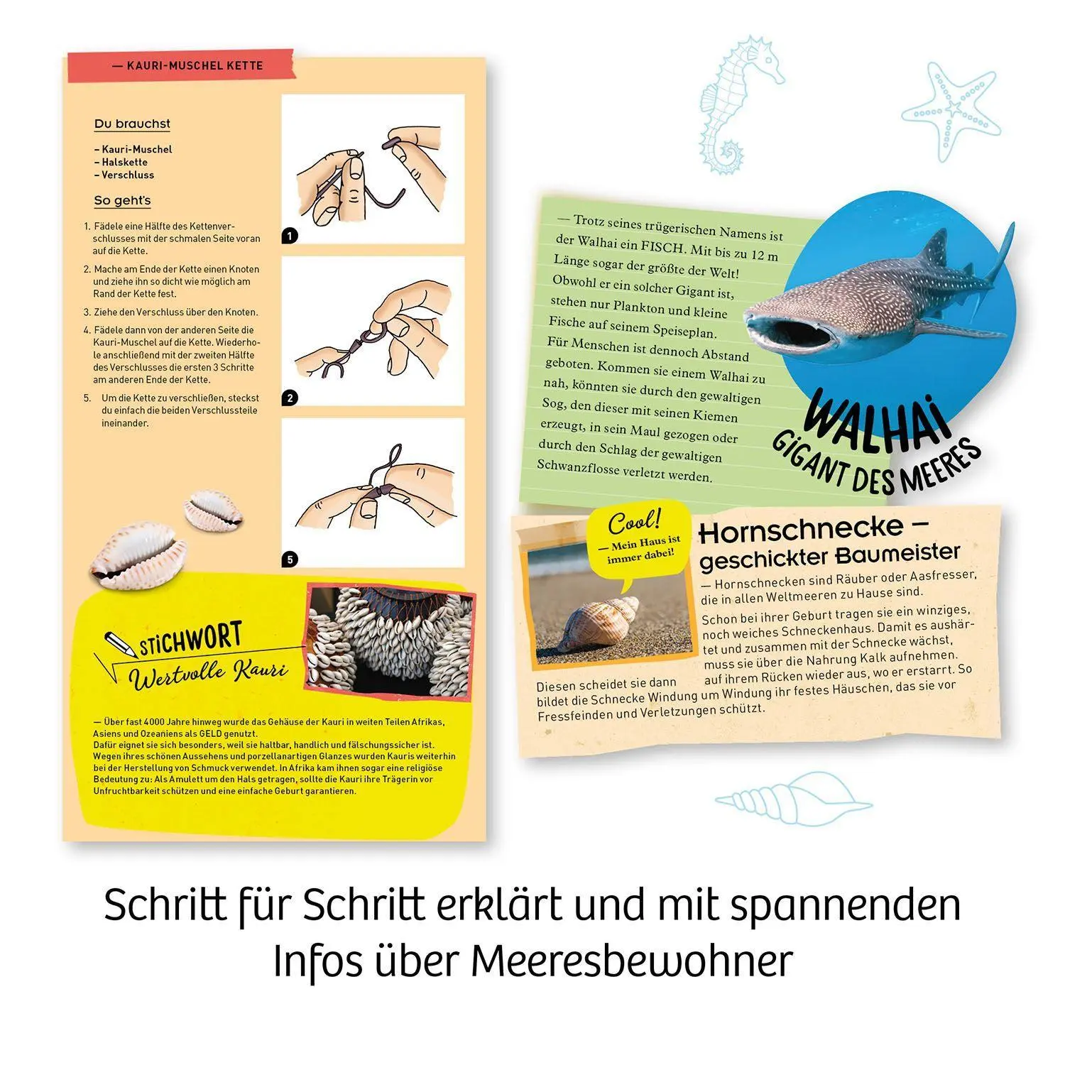 Bild: 4002051658038 | Meeres-Abenteuer | Experimentierkasten | Spiel | Brettspiel | 658038
