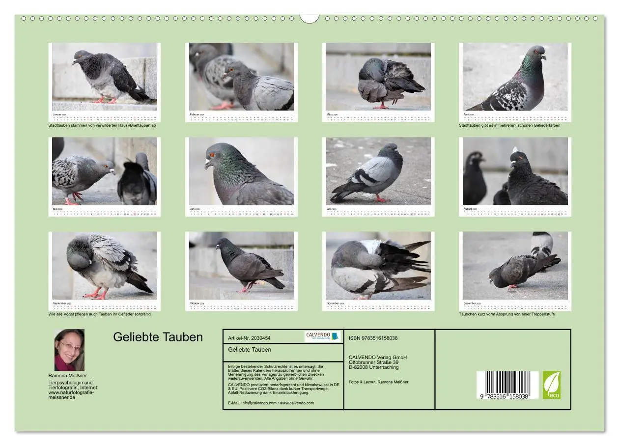 Bild: 9783516158038 | Geliebte Tauben (hochwertiger Premium Wandkalender 2026 DIN A2...