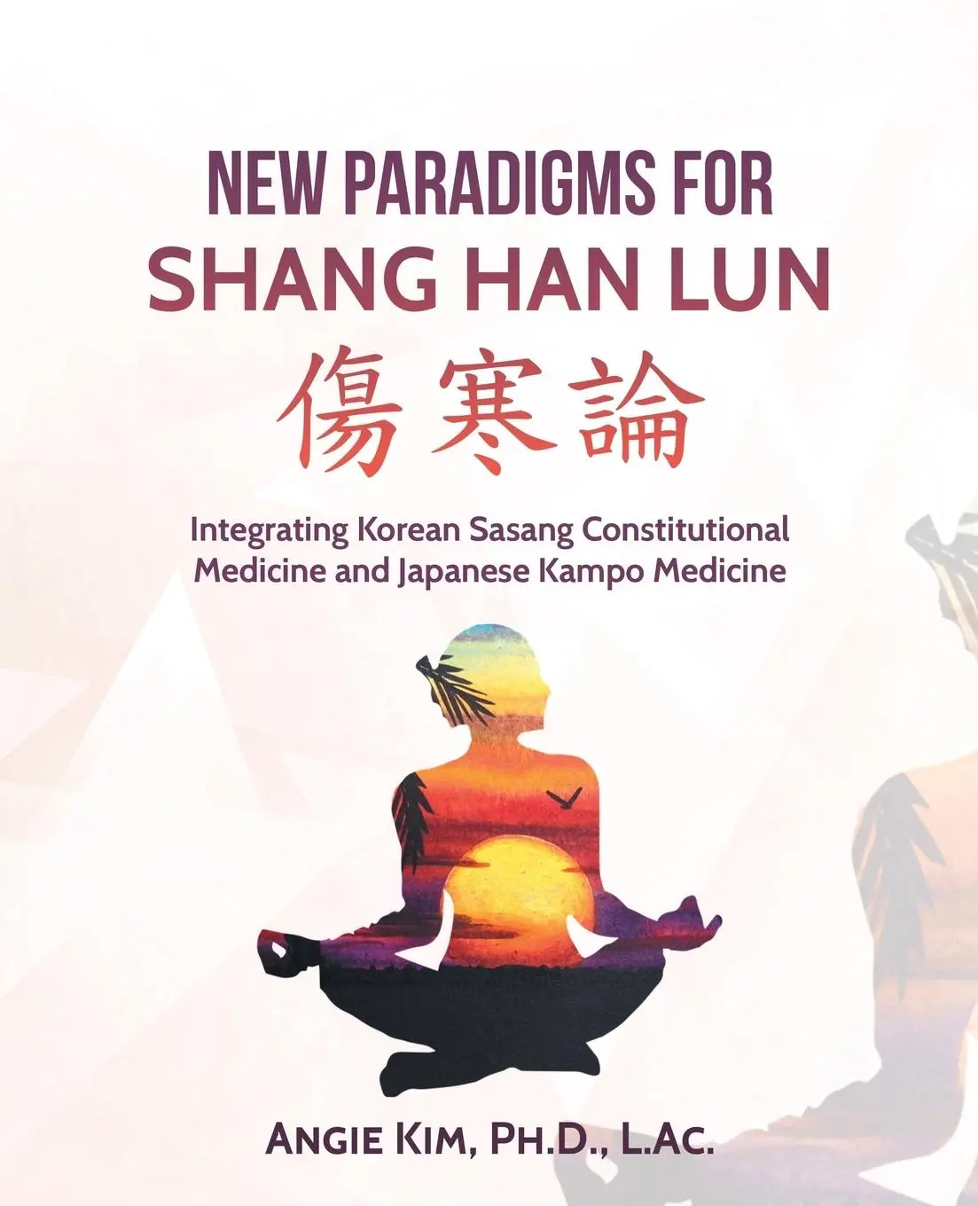Cover: 9781532018138 | New Paradigms for Shang Han Lun | Angie Kim L. Ac. | Taschenbuch