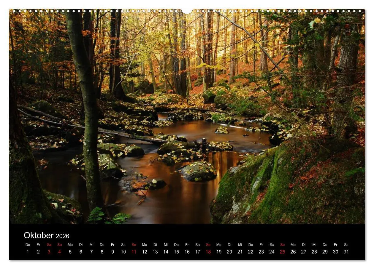 Bild: 9783457988138 | Zauberhafter Bayerischer Wald (hochwertiger Premium Wandkalender...