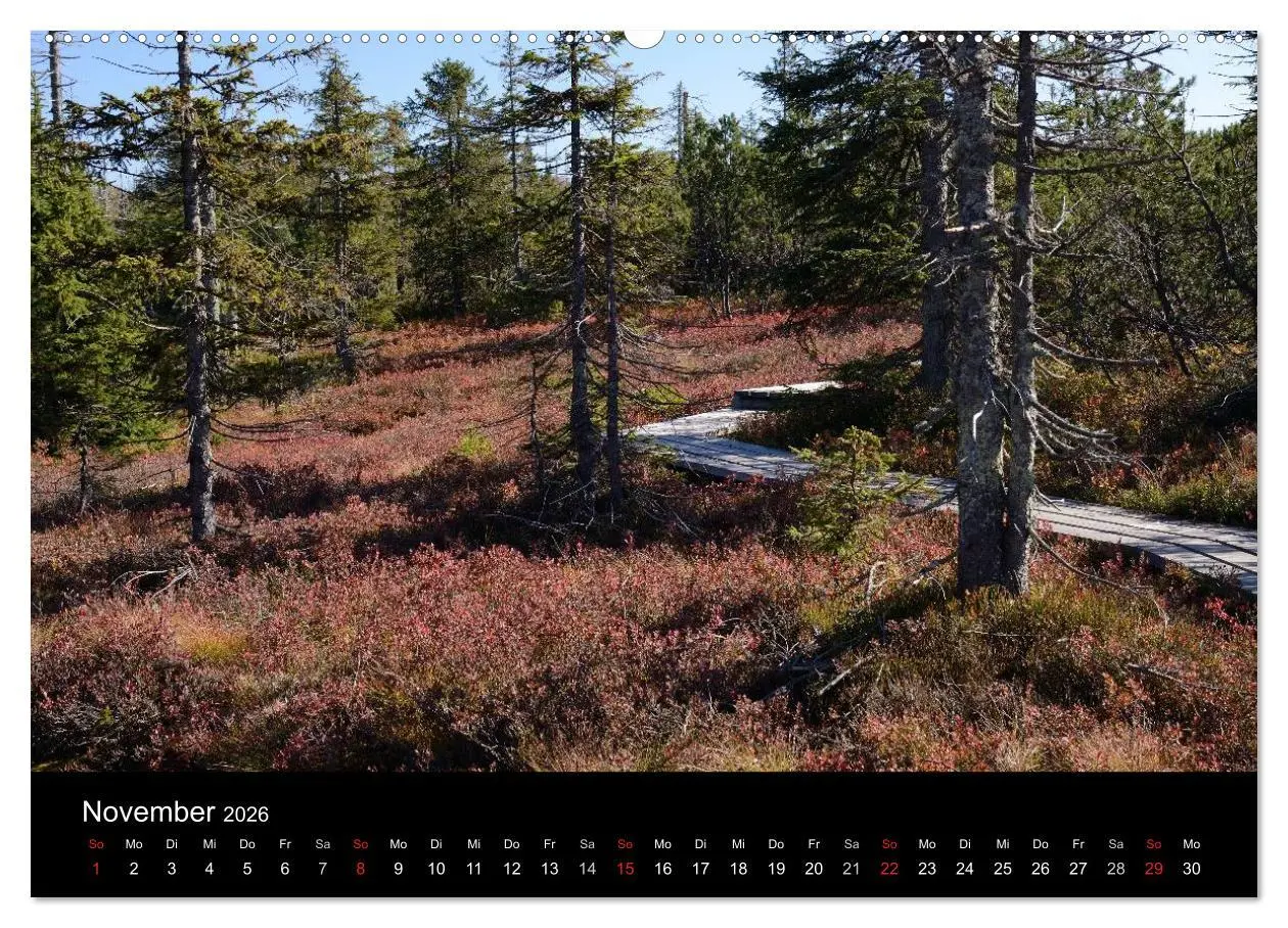 Bild: 9783457988138 | Zauberhafter Bayerischer Wald (hochwertiger Premium Wandkalender...
