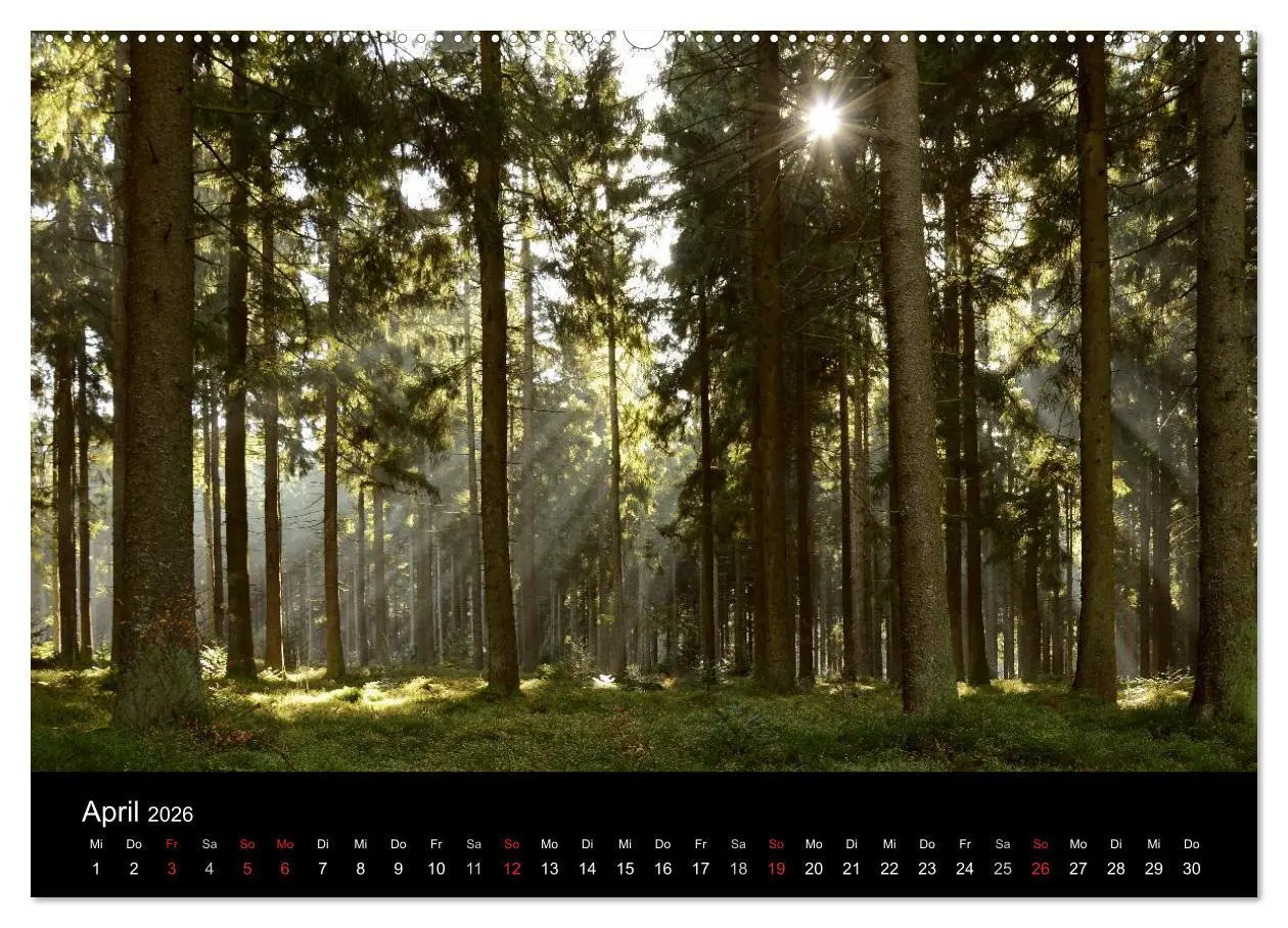 Bild: 9783457988138 | Zauberhafter Bayerischer Wald (hochwertiger Premium Wandkalender...