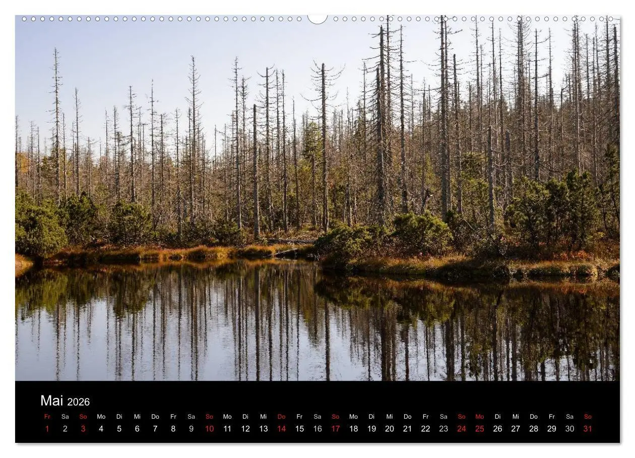 Bild: 9783457988138 | Zauberhafter Bayerischer Wald (hochwertiger Premium Wandkalender...