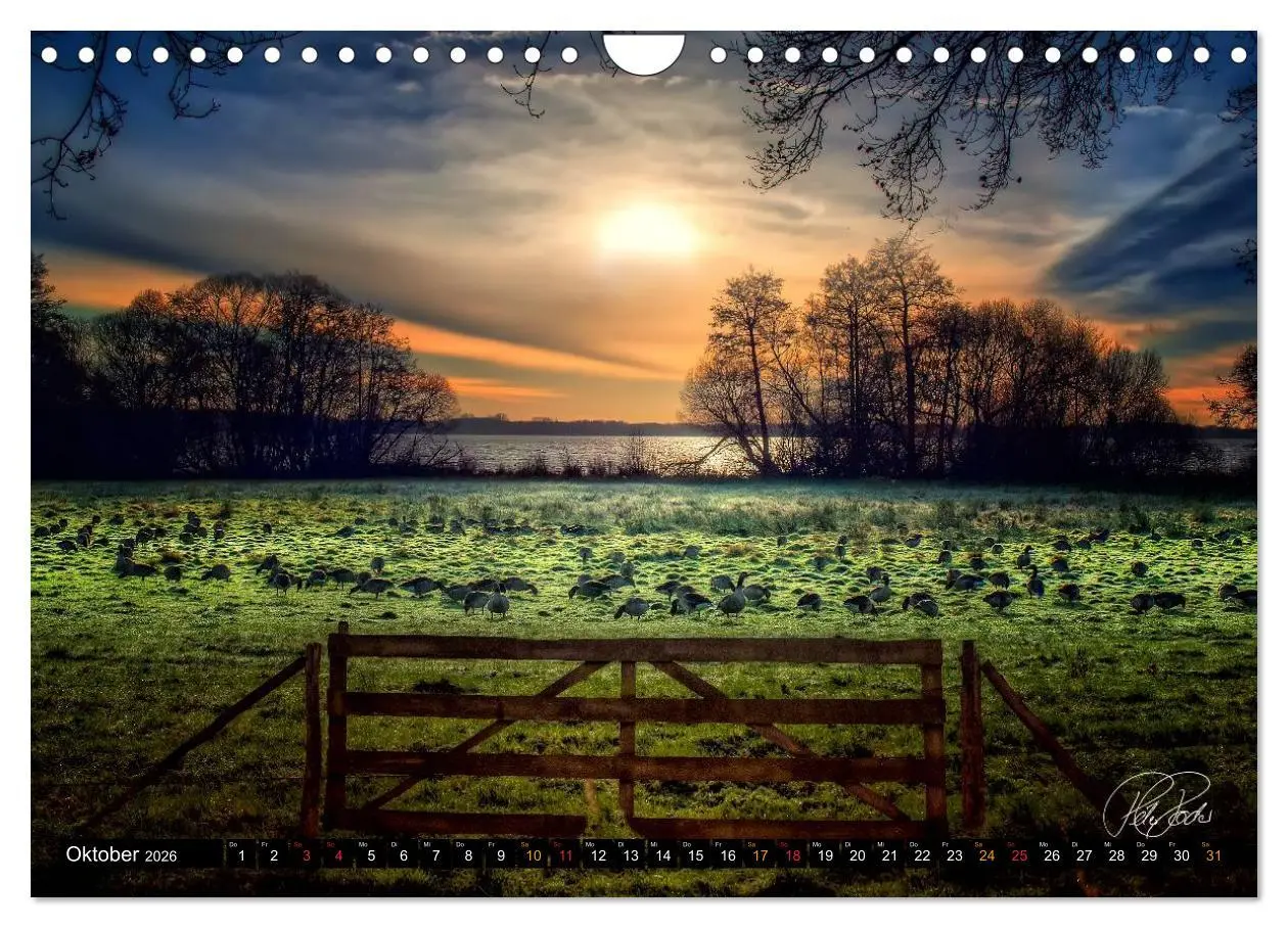 Bild: 9783516148138 | Am Zwischenahner Meer (Wandkalender 2026 DIN A4 quer), CALVENDO...