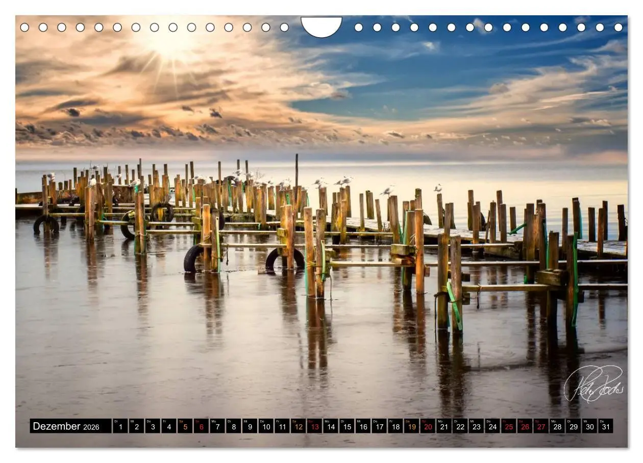 Bild: 9783516148138 | Am Zwischenahner Meer (Wandkalender 2026 DIN A4 quer), CALVENDO...