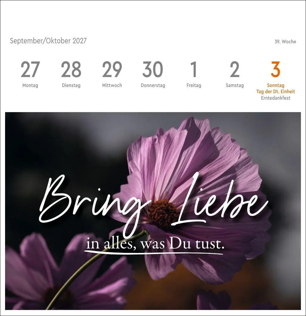 Bild: 9783756418138 | Visual Statements Premium-Postkartenkalender 2027 | Kalender | 54 S.