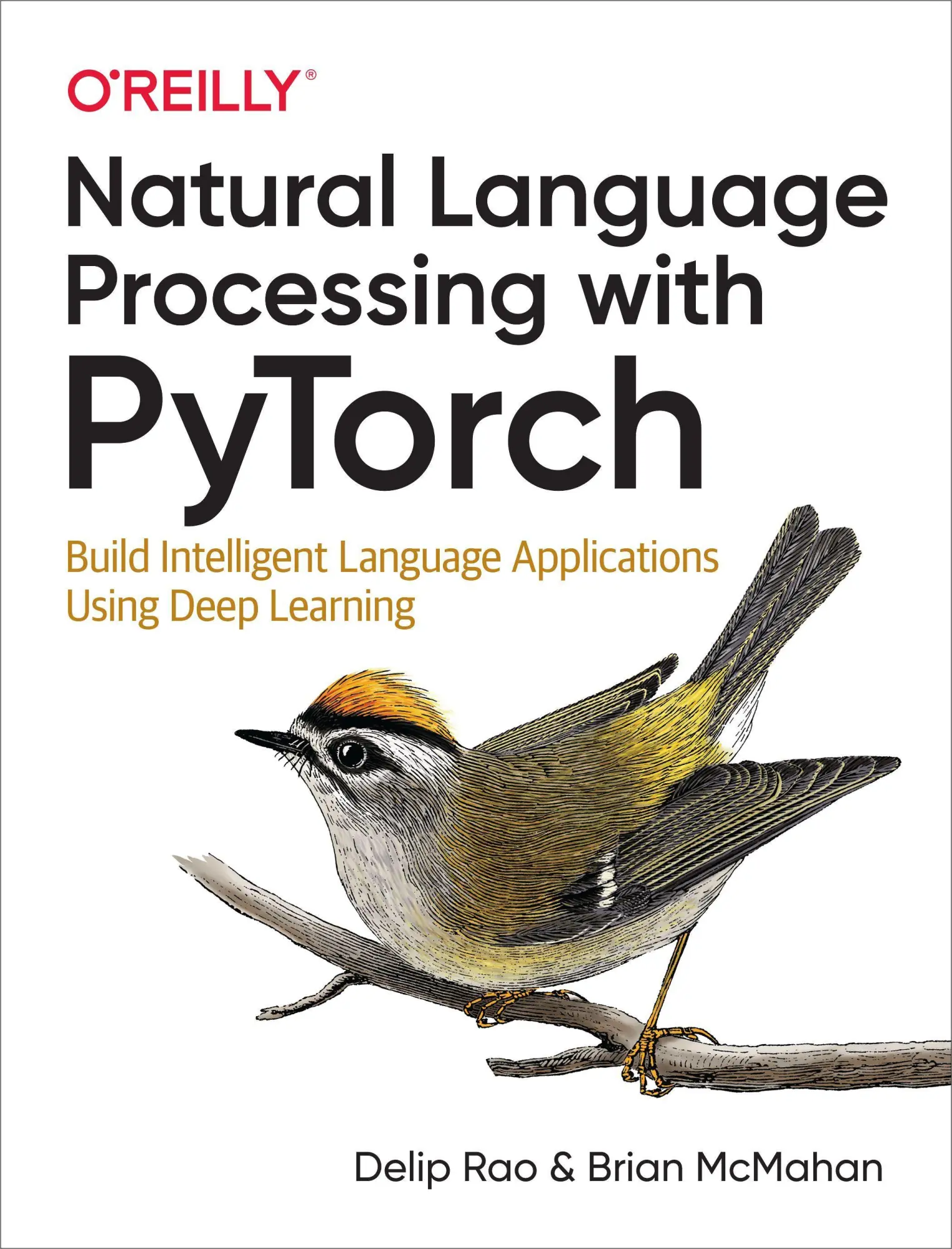 Cover: 9781491978238 | Natural Language Processing with Pytorch | Delip Rao (u. a.) | Buch