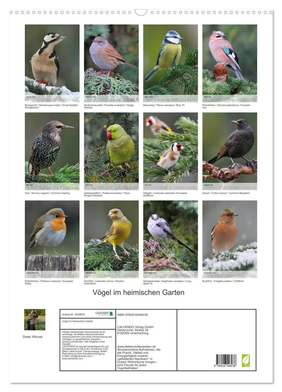 Bild: 9783516448238 | Vögel im heimischen Garten (Wandkalender 2026 DIN A2 hoch),...