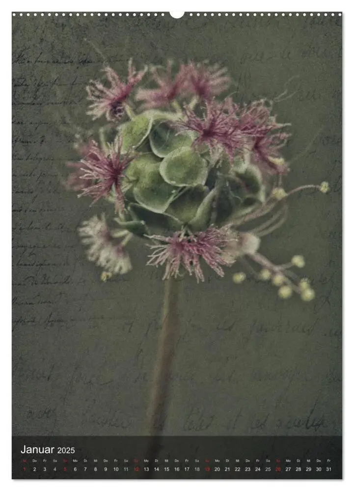 Bild: 9783457038338 | Naturmelancholie 2025 (Wandkalender 2025 DIN A2 hoch), CALVENDO...