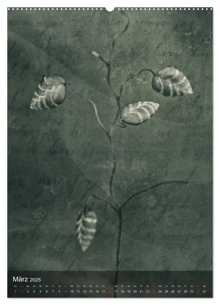 Bild: 9783457038338 | Naturmelancholie 2025 (Wandkalender 2025 DIN A2 hoch), CALVENDO...
