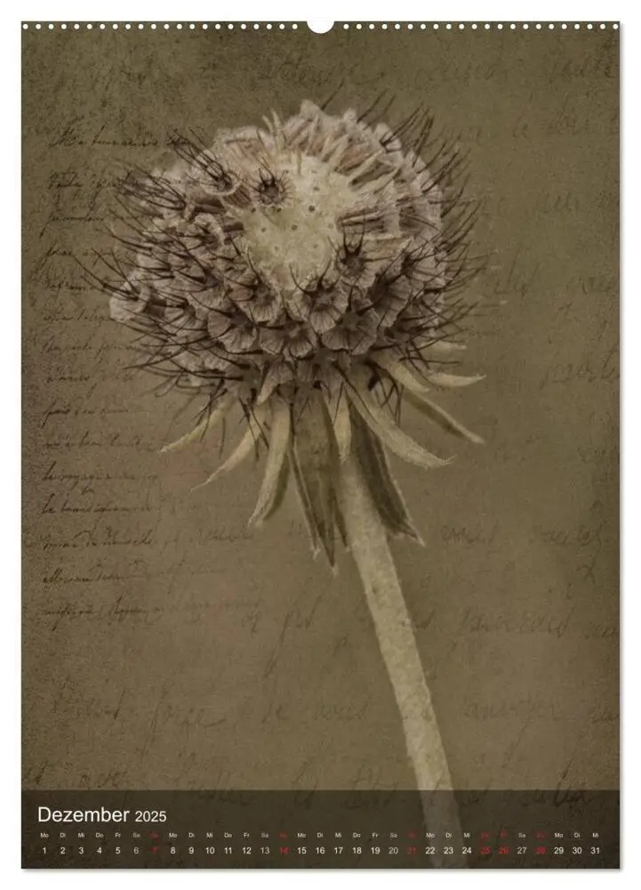 Bild: 9783457038338 | Naturmelancholie 2025 (Wandkalender 2025 DIN A2 hoch), CALVENDO...