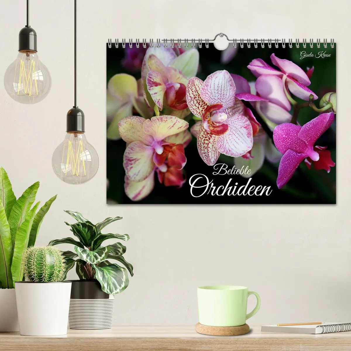 Bild: 9783457348338 | Beliebte Orchideen (Wandkalender 2026 DIN A4 quer), CALVENDO...