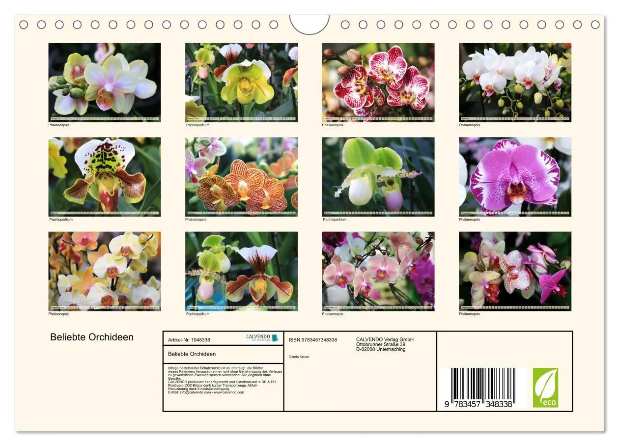 Bild: 9783457348338 | Beliebte Orchideen (Wandkalender 2026 DIN A4 quer), CALVENDO...