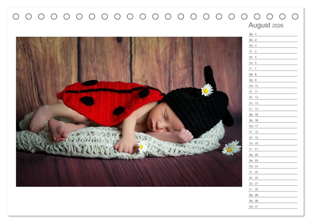 Bild: 9783457898338 | Aller Anfang ist klein - Babykalender mit Noah (Tischkalender 2026...