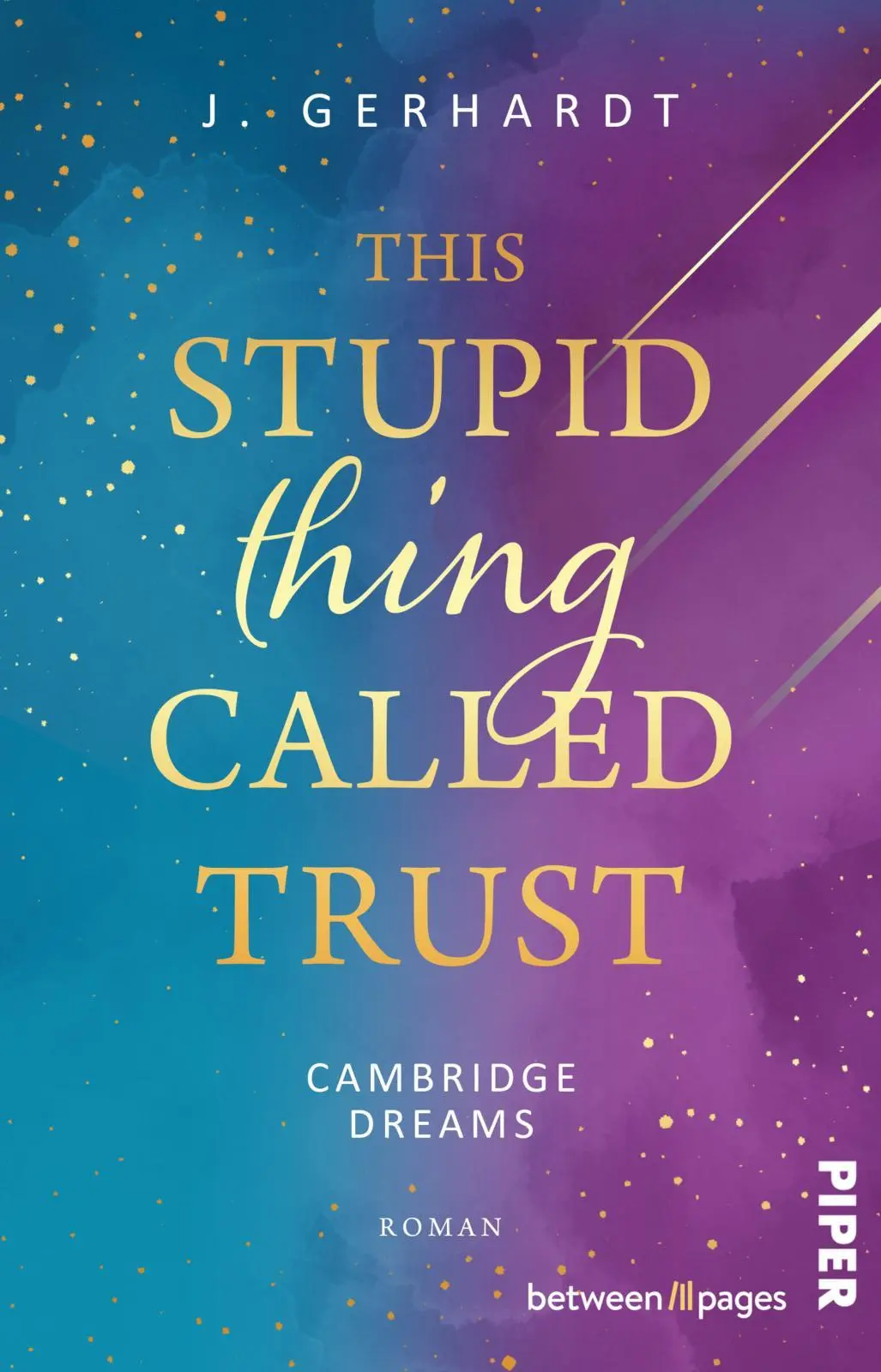 Cover: 9783492508438 | This stupid Thing called Trust | J. Gerhardt | Taschenbuch | 332 S.