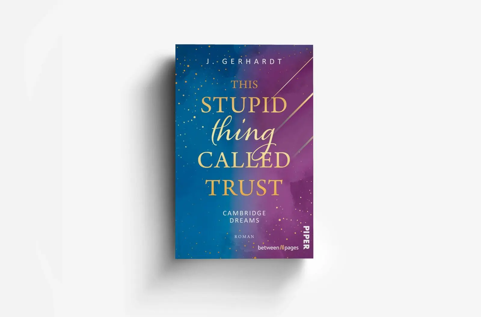 Bild: 9783492508438 | This stupid Thing called Trust | J. Gerhardt | Taschenbuch | 332 S.