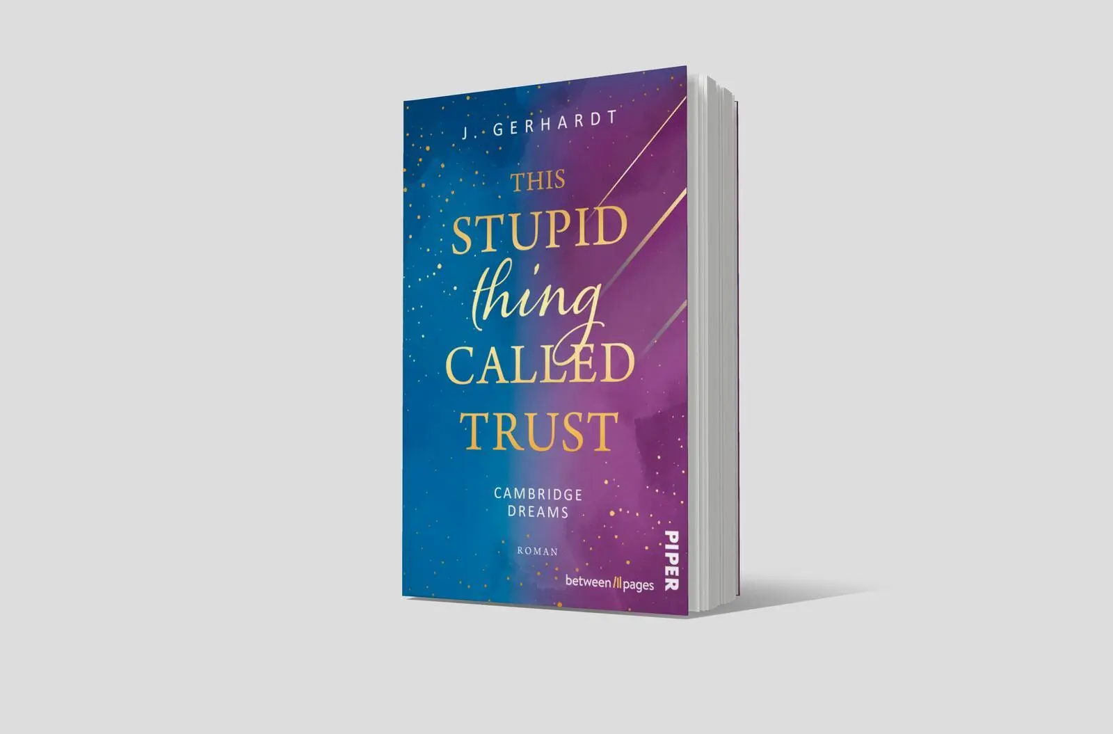 Bild: 9783492508438 | This stupid Thing called Trust | J. Gerhardt | Taschenbuch | 332 S.