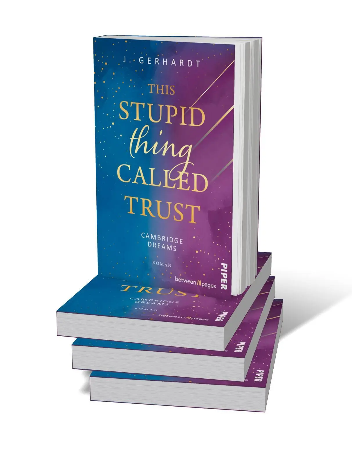Bild: 9783492508438 | This stupid Thing called Trust | J. Gerhardt | Taschenbuch | 332 S.