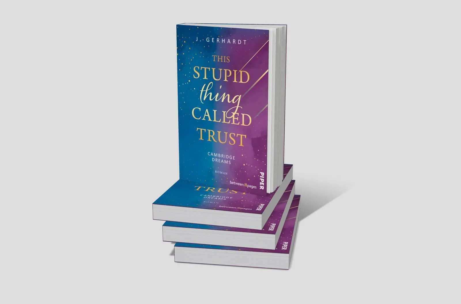 Bild: 9783492508438 | This stupid Thing called Trust | J. Gerhardt | Taschenbuch | 332 S.