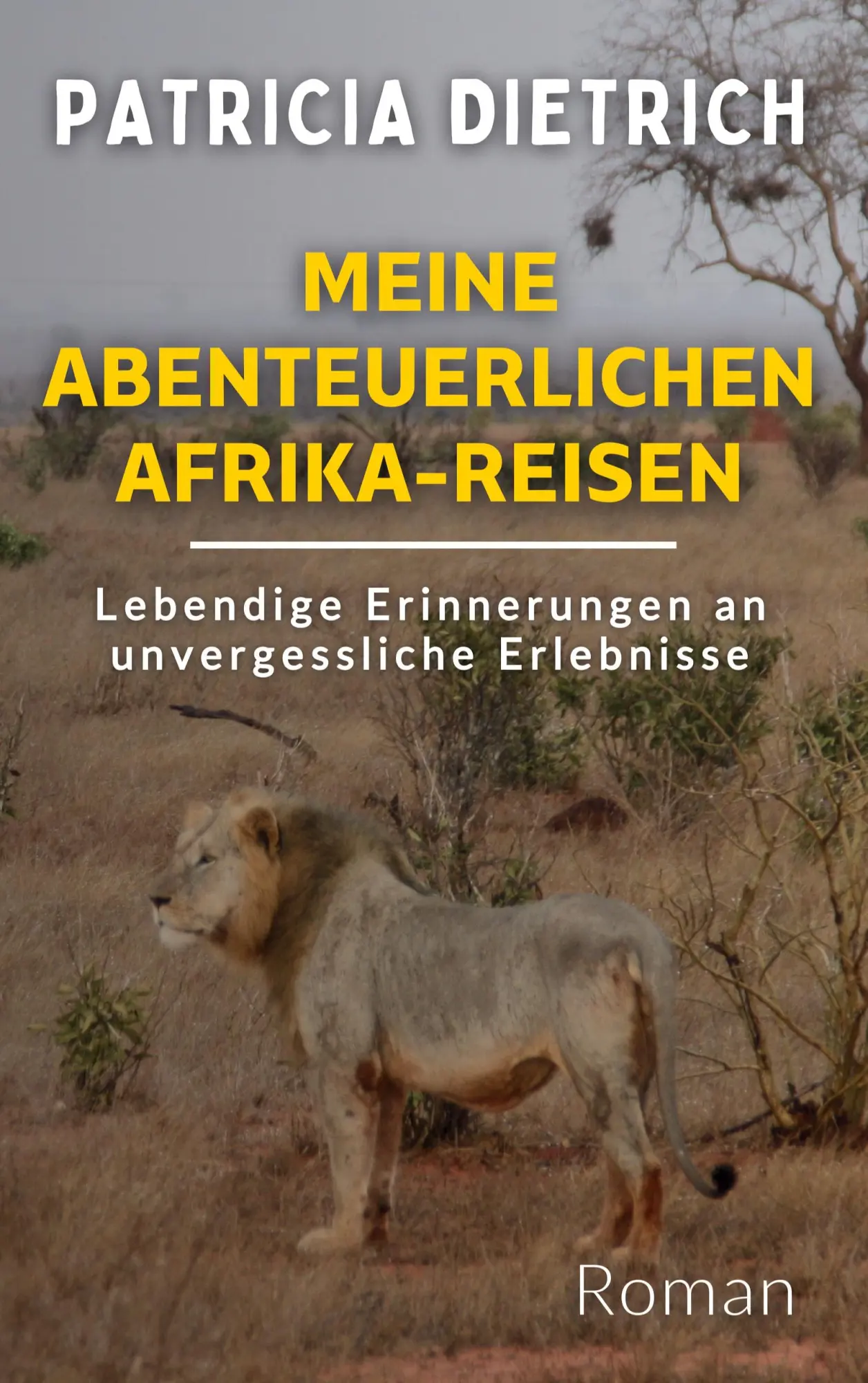 Cover: 9783769358438 | Meine abenteuerlichen Afrika-Reisen | Patricia Dietrich | Taschenbuch