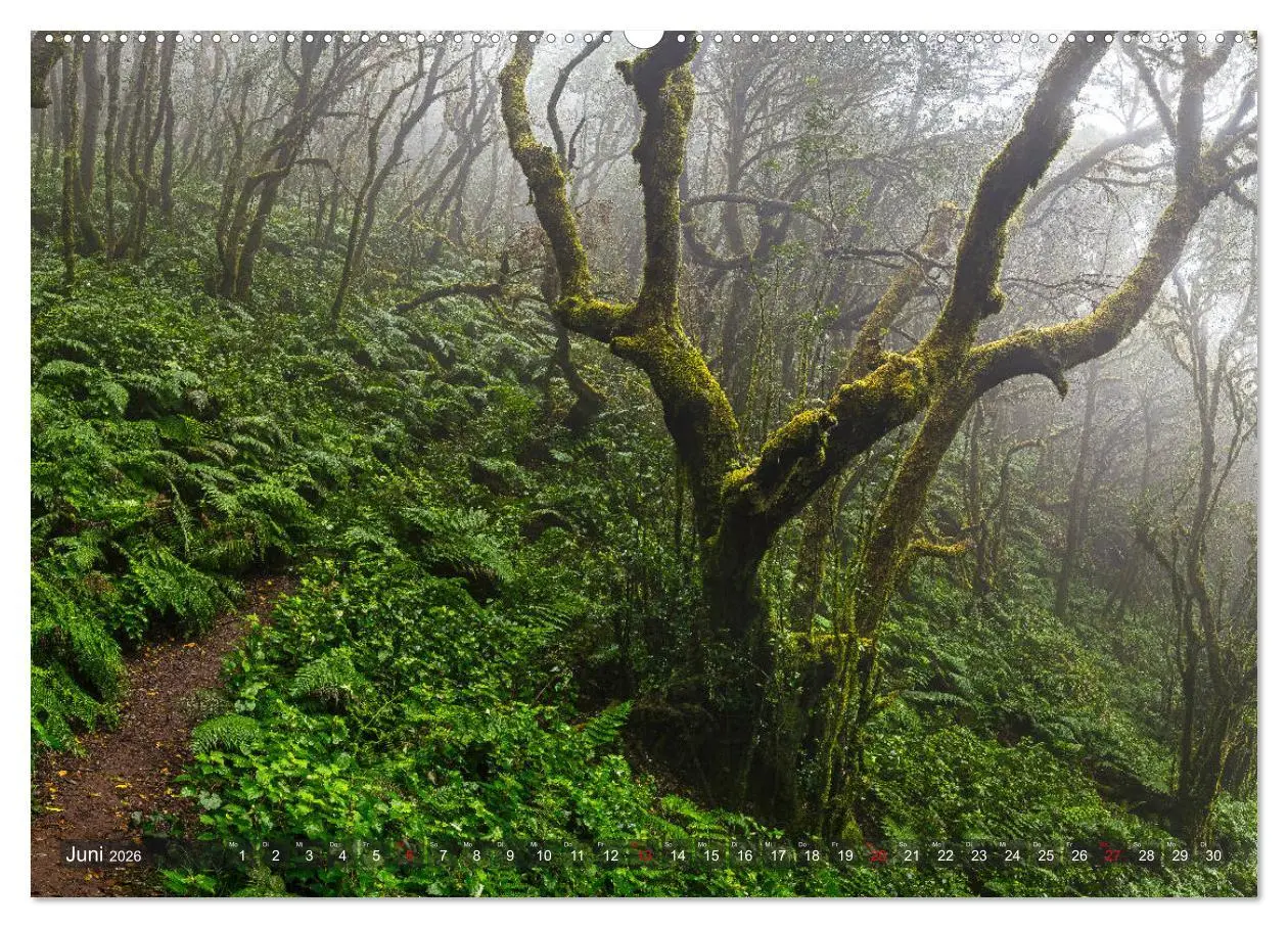 Bild: 9783457878538 | La Isla de La Gomera - Wilde Schönheit im Atlantik (Wandkalender...