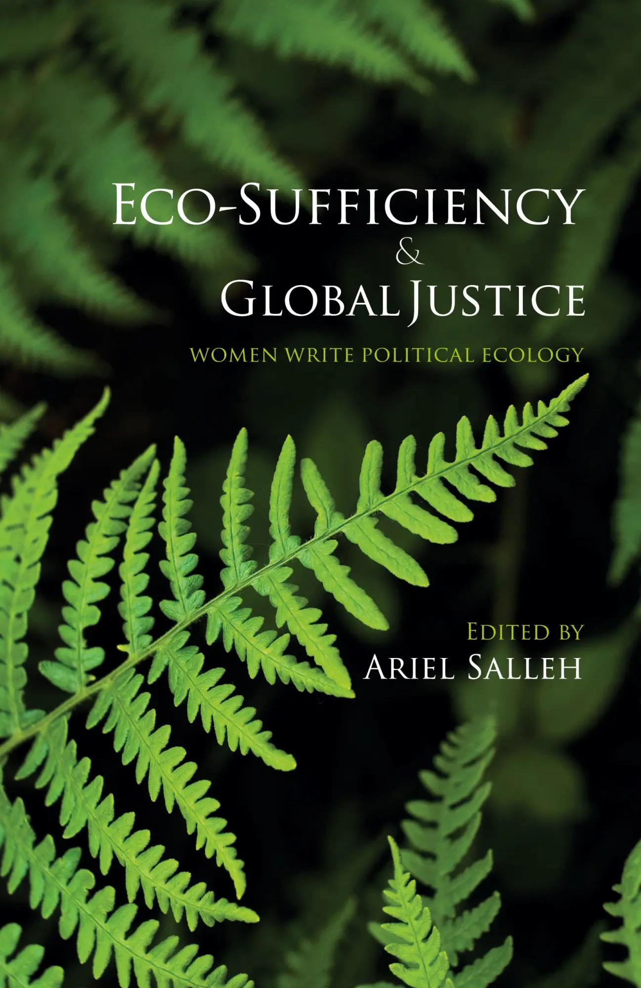 Cover: 9780745328638 | Eco-Sufficiency And Global Justice | Women Write Political Ecology