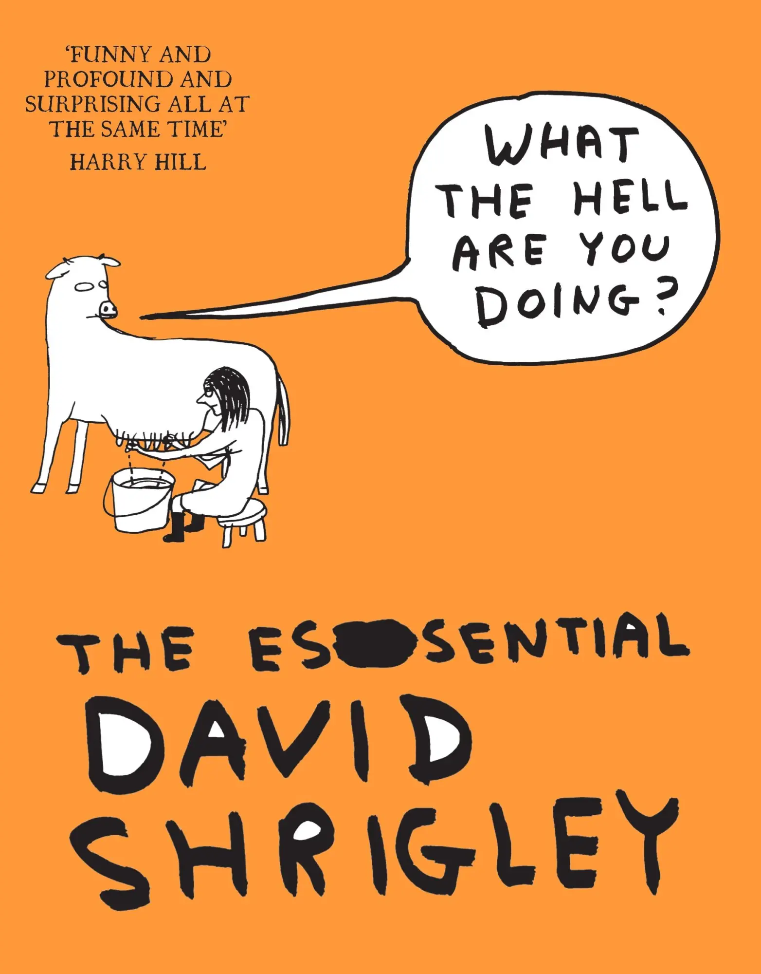Cover: 9781847678638 | What The Hell Are You Doing?: The Essential David Shrigley | Shrigley