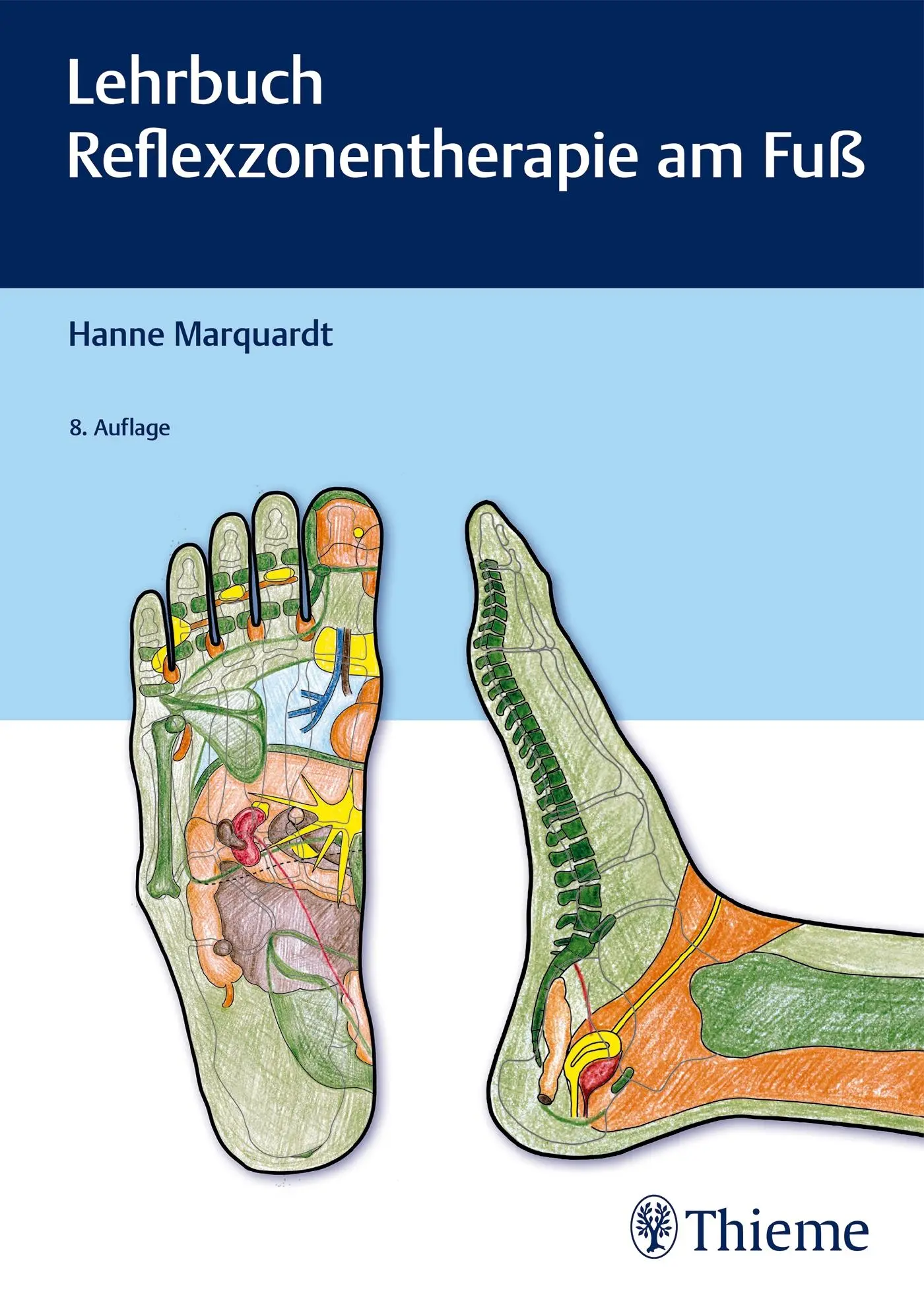 Cover: 9783132428638 | Lehrbuch Reflexzonentherapie am Fuß | Hanne Marquardt | Buch | 272 S.