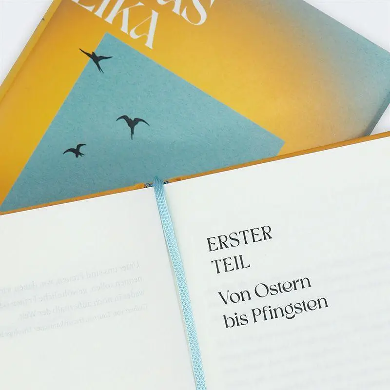 Bild: 9783446288638 | Offener Himmel | Roman | Jonas Eika | Buch | 624 S. | Deutsch | 2026