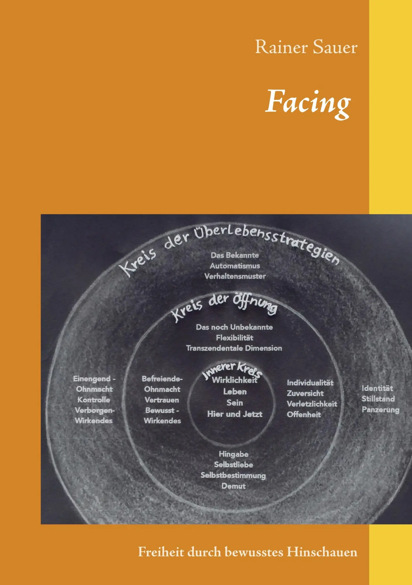 Cover: 9783748168638 | Facing | Freiheit durch bewusstes Hinschauen | Rainer Sauer | Buch