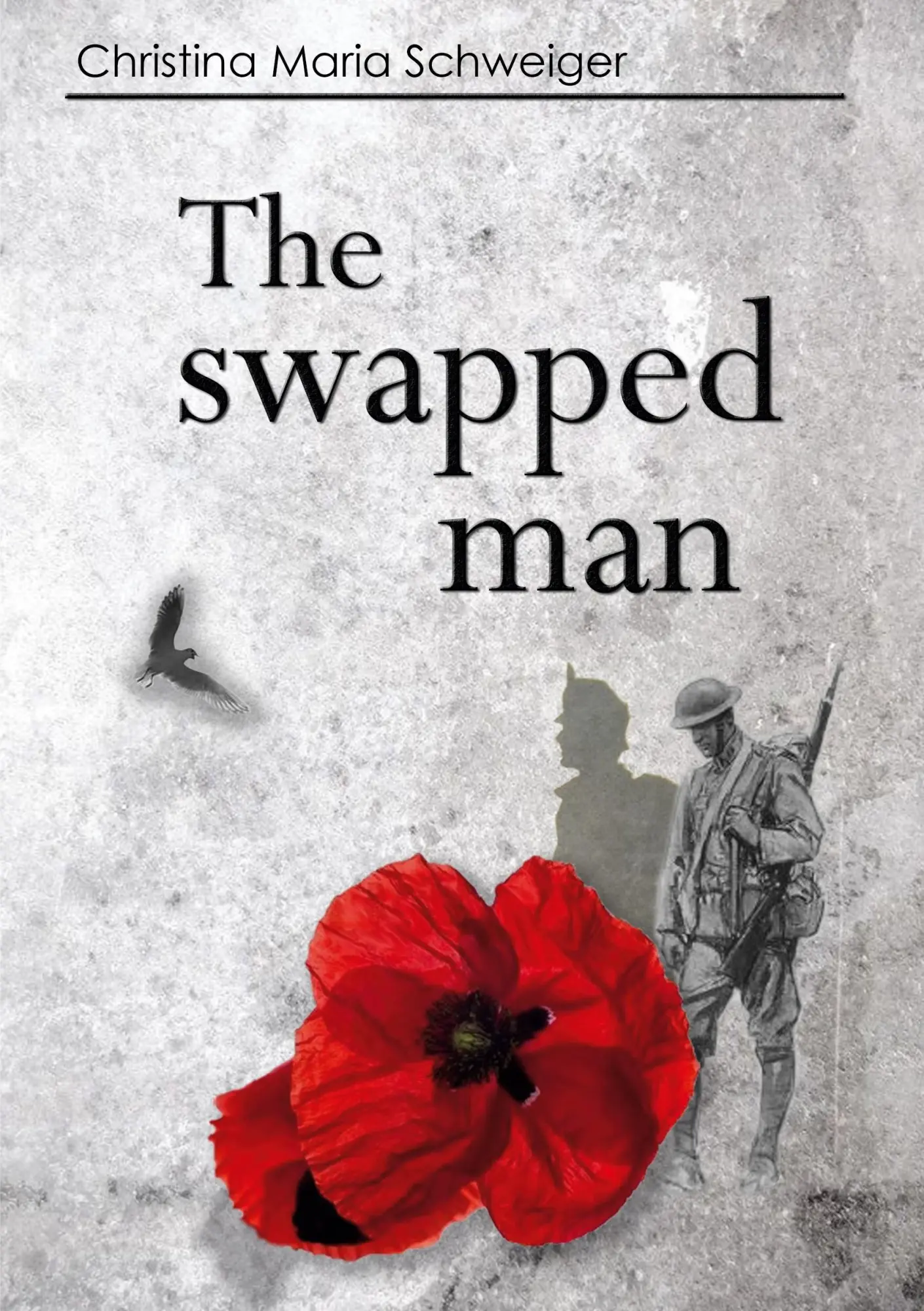 The swapped man: Aiden Mc Gilles Reihe