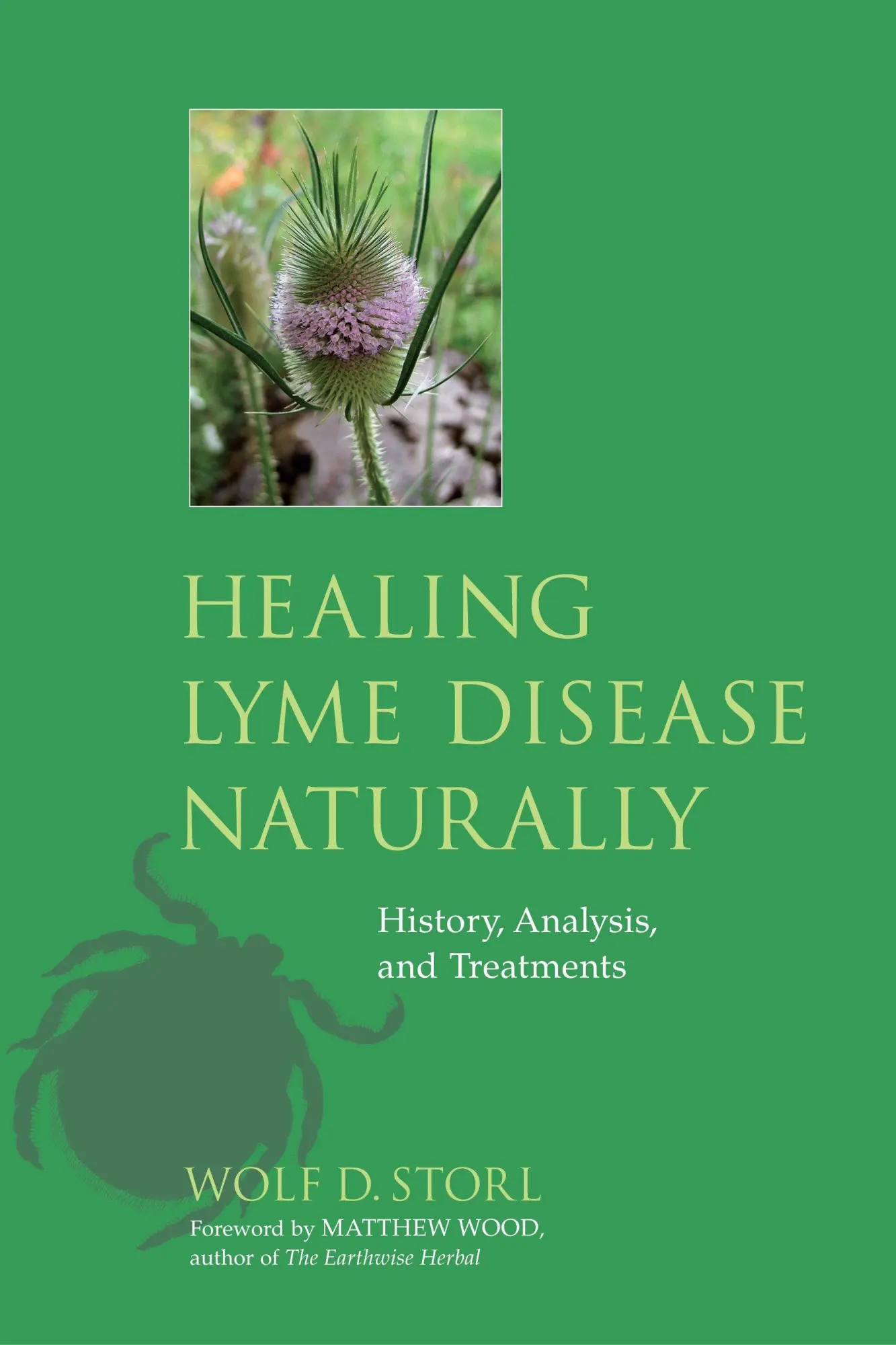 Cover: 9781556438738 | Healing Lyme Disease Naturally | History, Analysis, and Treatments