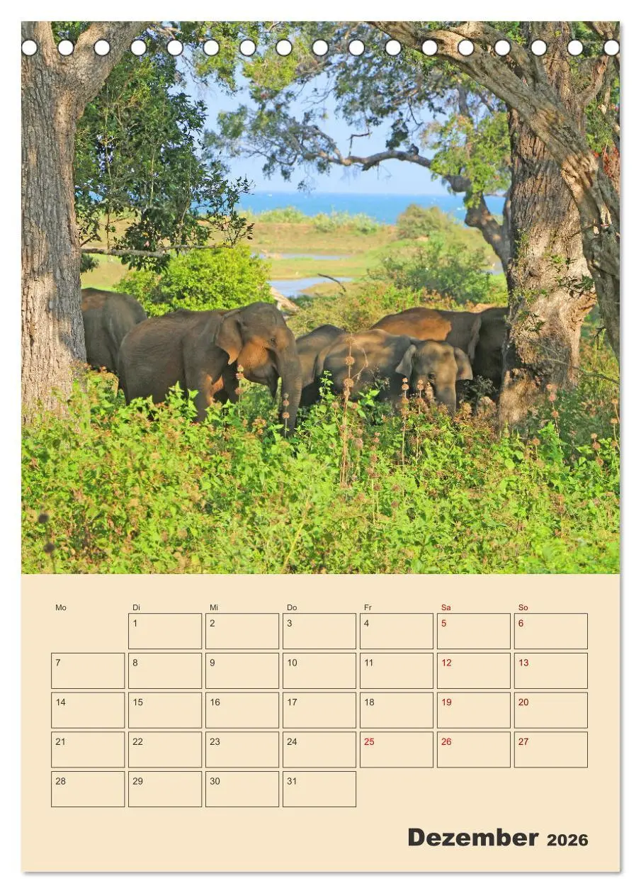 Bild: 9783516328738 | Sri Lanka - Terminplaner (Tischkalender 2026 DIN A5 hoch), CALVENDO...
