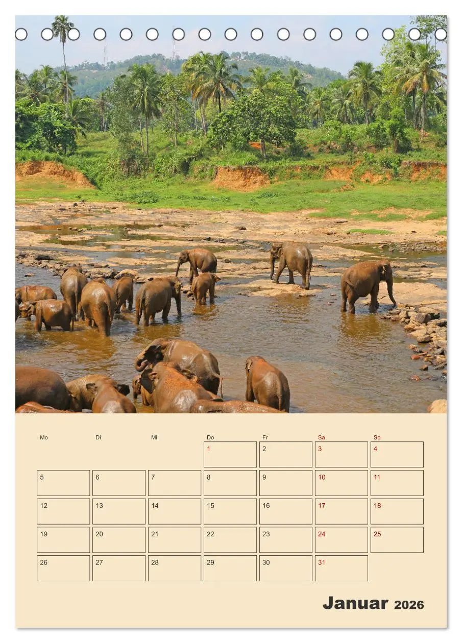 Bild: 9783516328738 | Sri Lanka - Terminplaner (Tischkalender 2026 DIN A5 hoch), CALVENDO...
