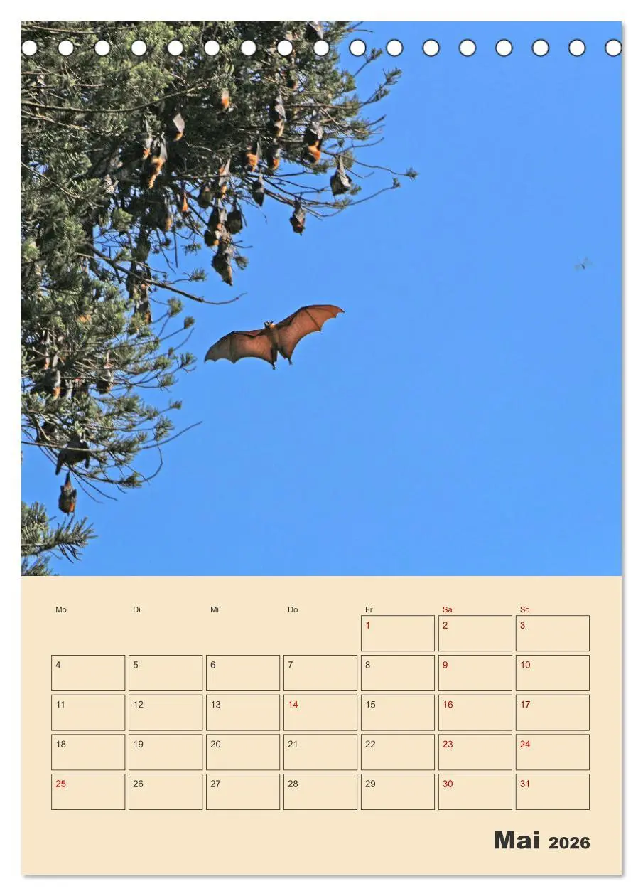 Bild: 9783516328738 | Sri Lanka - Terminplaner (Tischkalender 2026 DIN A5 hoch), CALVENDO...