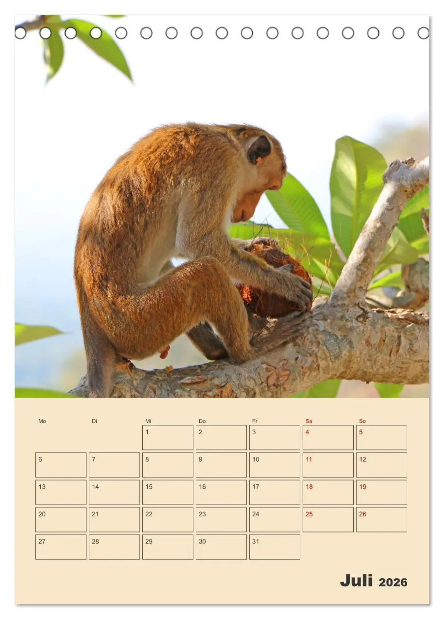 Bild: 9783516328738 | Sri Lanka - Terminplaner (Tischkalender 2026 DIN A5 hoch), CALVENDO...