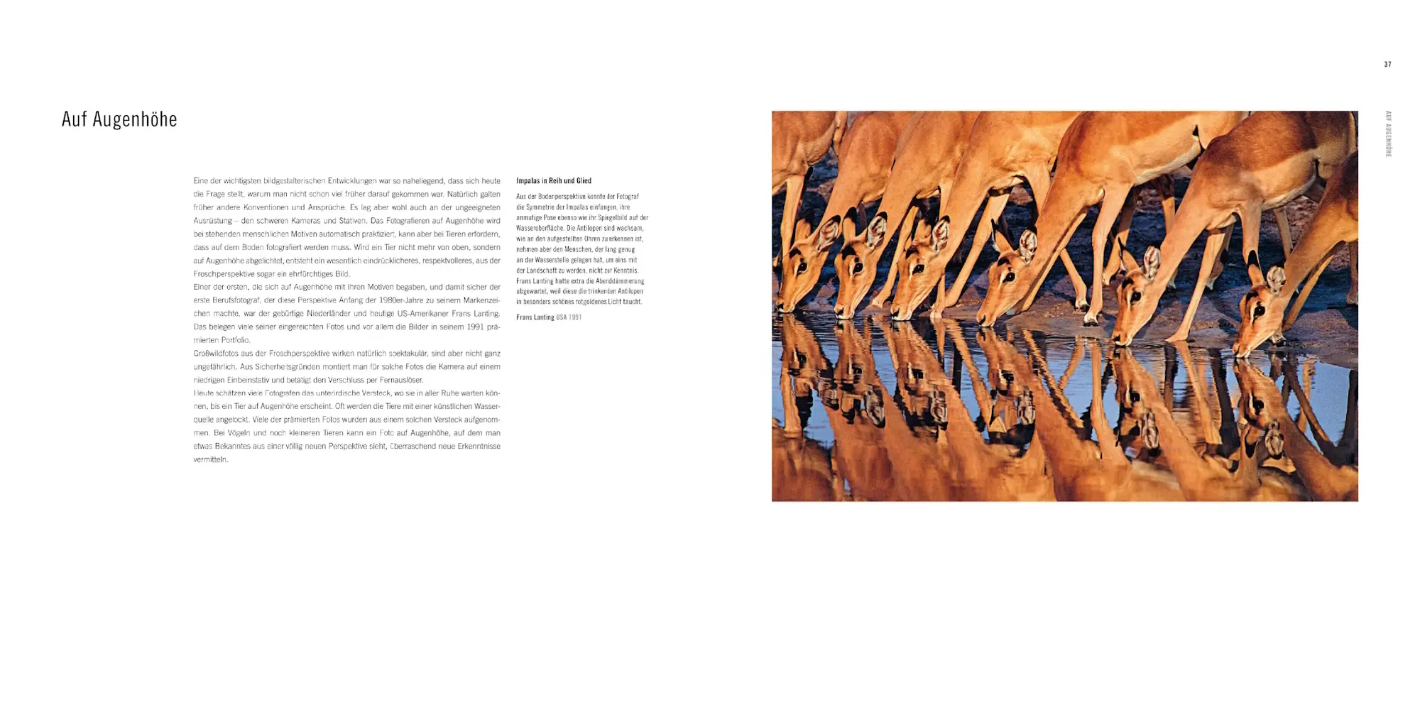 Bild: 9783957288738 | 60 Jahre Wildlife Fotografien des Jahres | Rosamund Kidman Cox | Buch