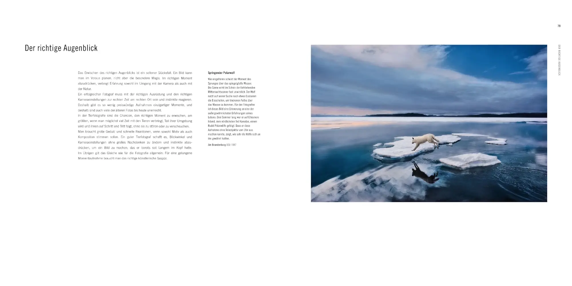 Bild: 9783957288738 | 60 Jahre Wildlife Fotografien des Jahres | Rosamund Kidman Cox | Buch