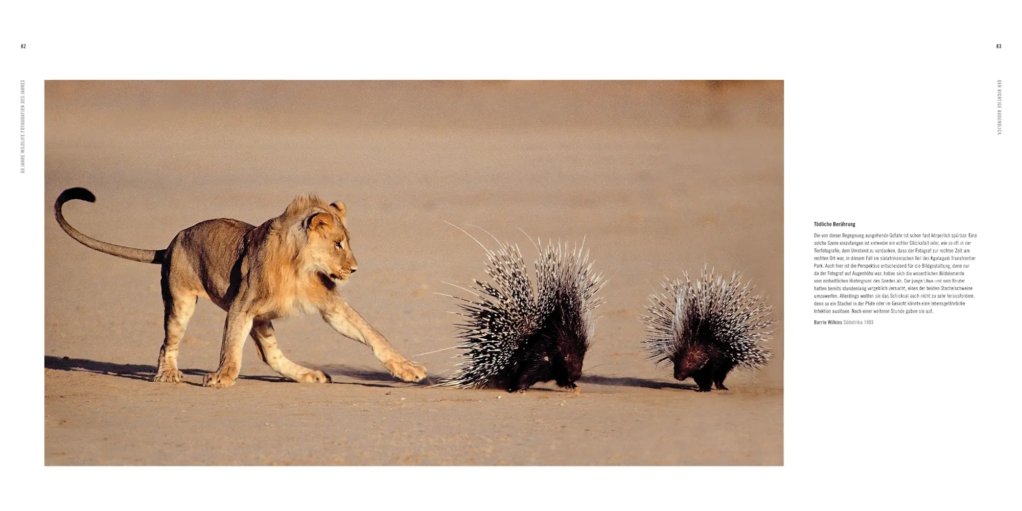 Bild: 9783957288738 | 60 Jahre Wildlife Fotografien des Jahres | Rosamund Kidman Cox | Buch