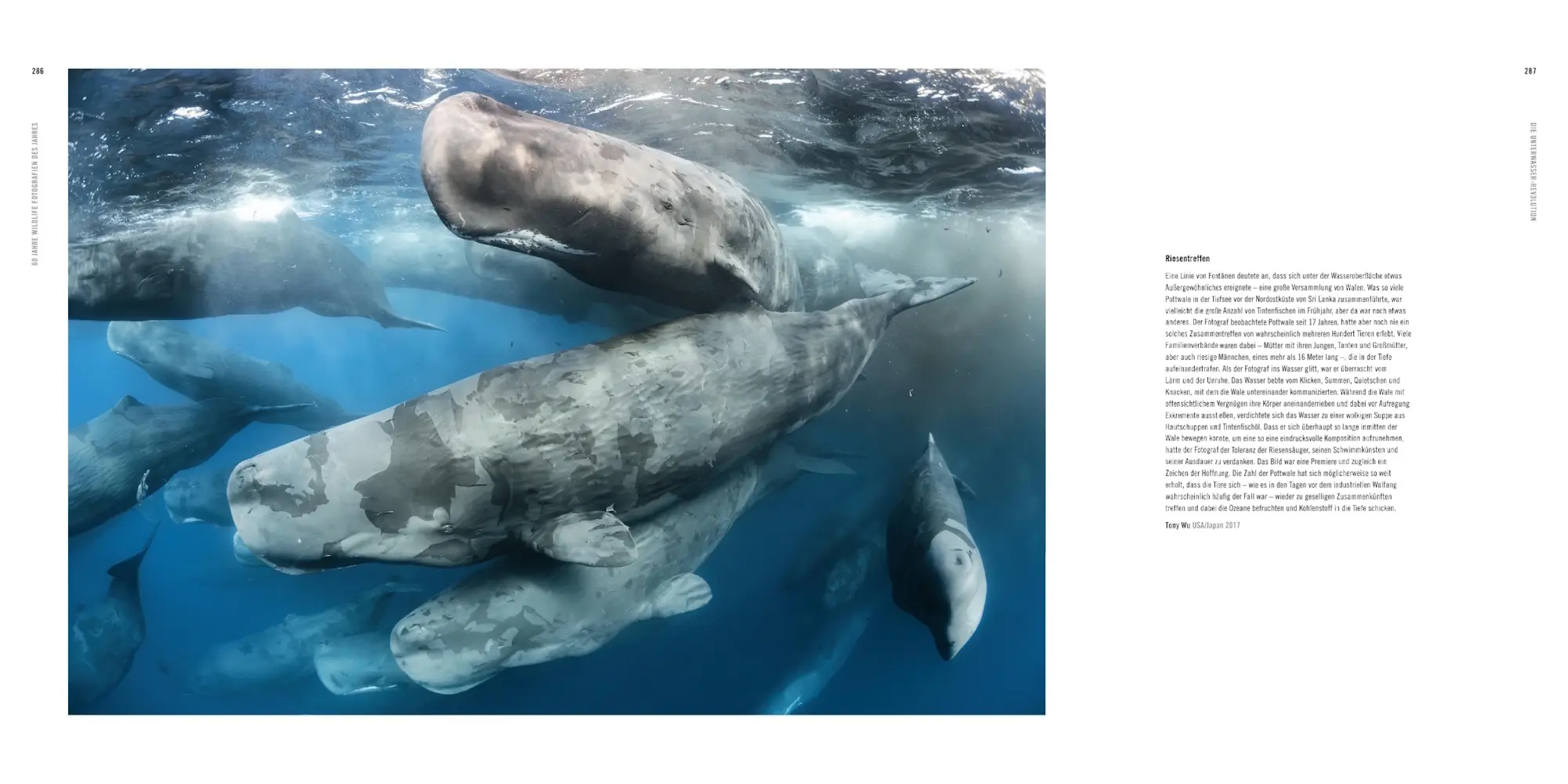 Bild: 9783957288738 | 60 Jahre Wildlife Fotografien des Jahres | Rosamund Kidman Cox | Buch