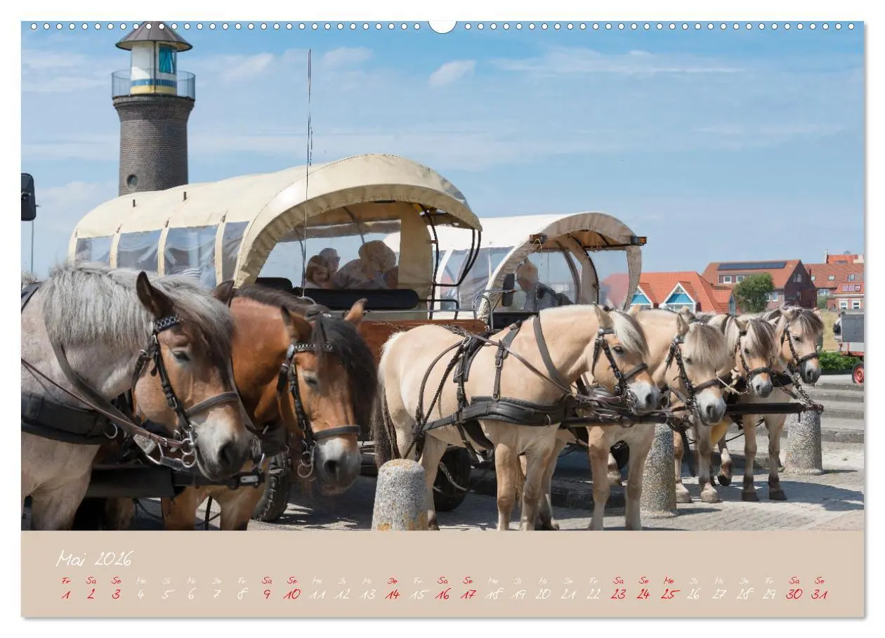 Bild: 9783457398838 | "Töwerland" Juist (hochwertiger Premium Wandkalender 2026 DIN A2...