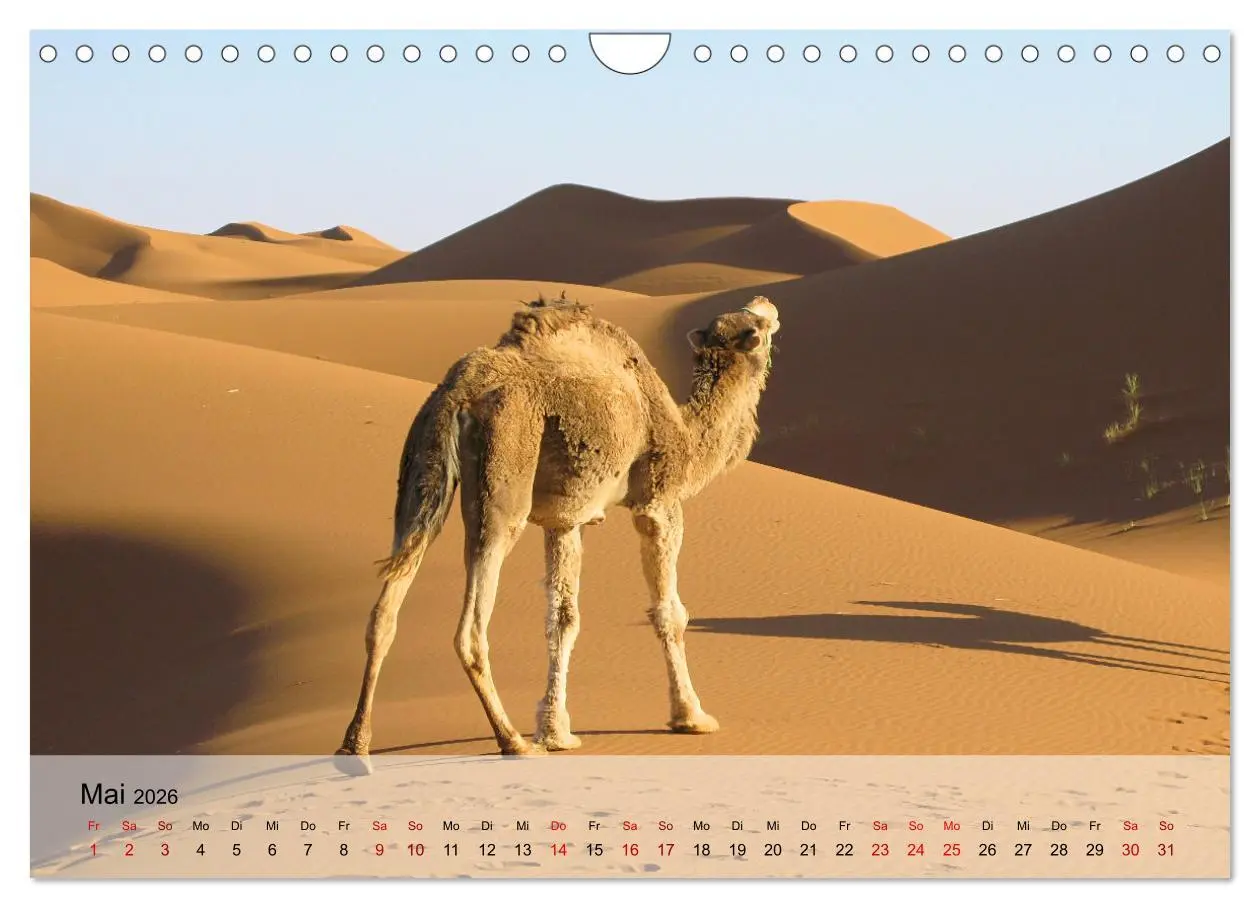 Bild: 9783457608838 | Magische Farbspiele der Wüste (Wandkalender 2026 DIN A4 quer),...