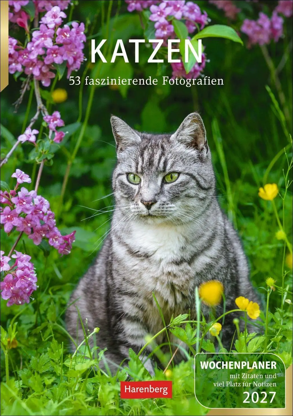 Cover: 9783840038938 | Katzen Wochenplaner 2027 - 53 faszinierende Fotografien | Huhnold