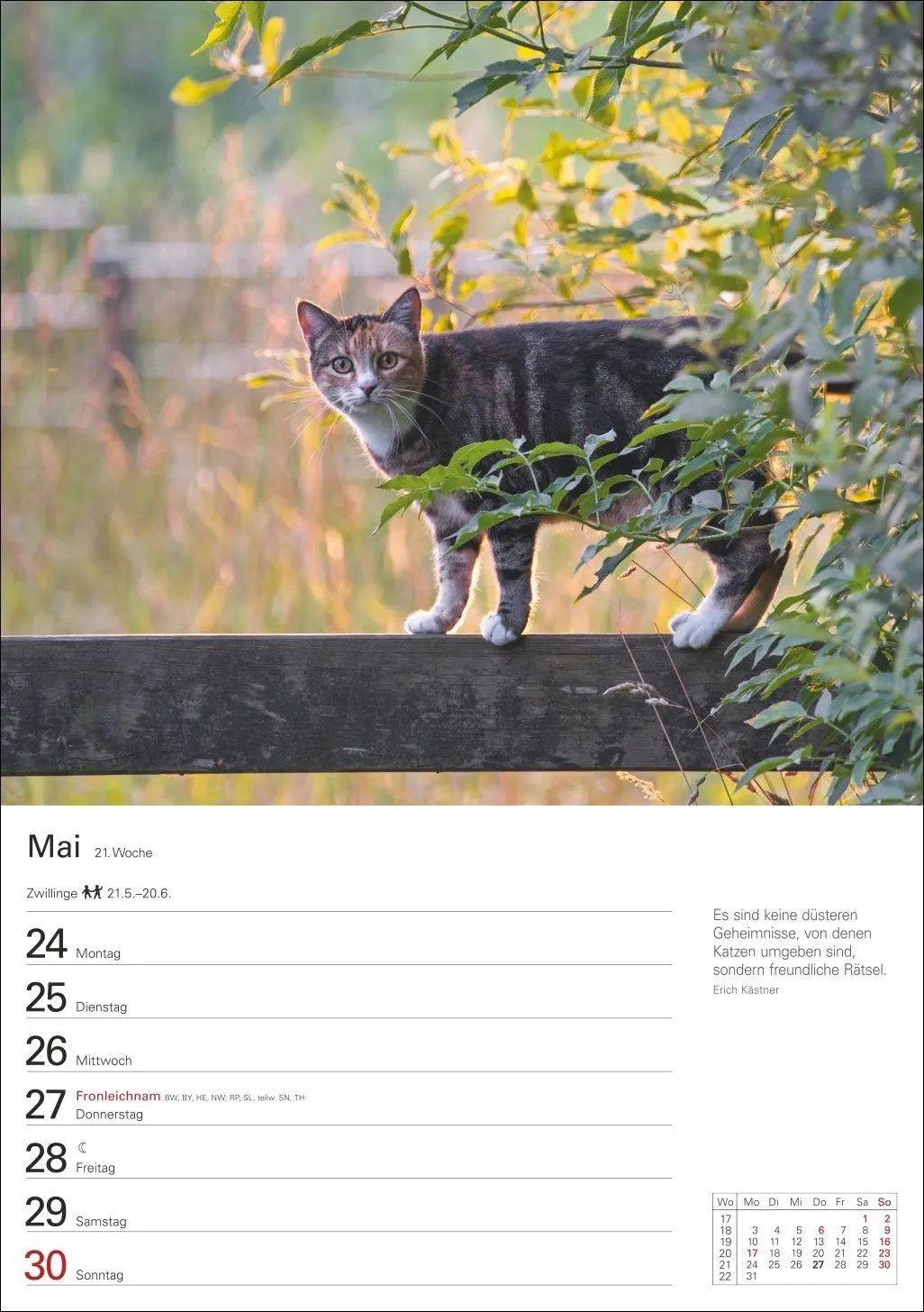 Bild: 9783840038938 | Katzen Wochenplaner 2027 - 53 faszinierende Fotografien | Huhnold