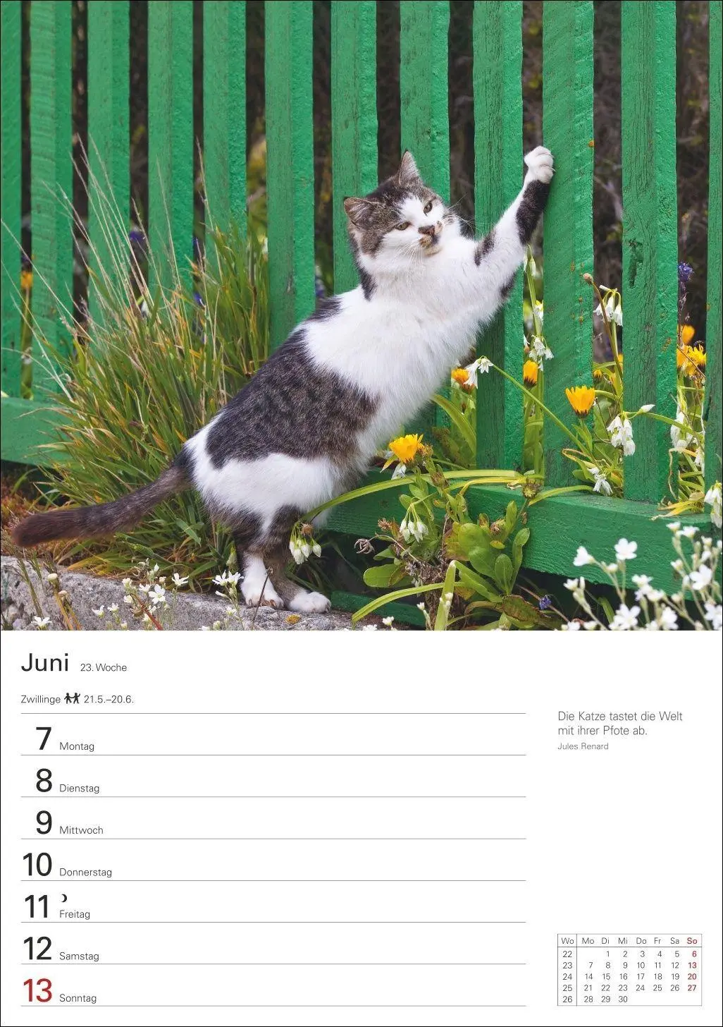 Bild: 9783840038938 | Katzen Wochenplaner 2027 - 53 faszinierende Fotografien | Huhnold