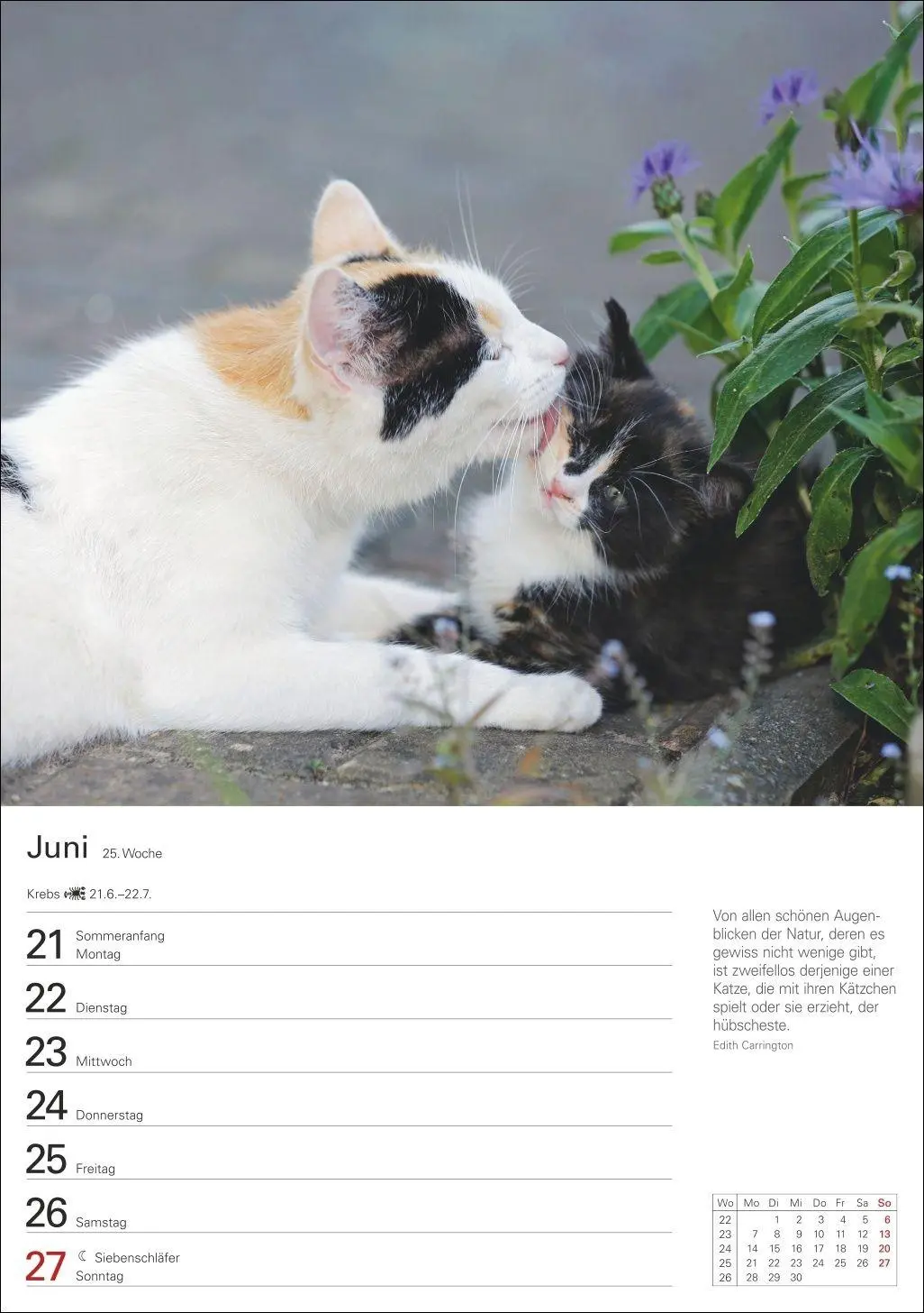 Bild: 9783840038938 | Katzen Wochenplaner 2027 - 53 faszinierende Fotografien | Huhnold