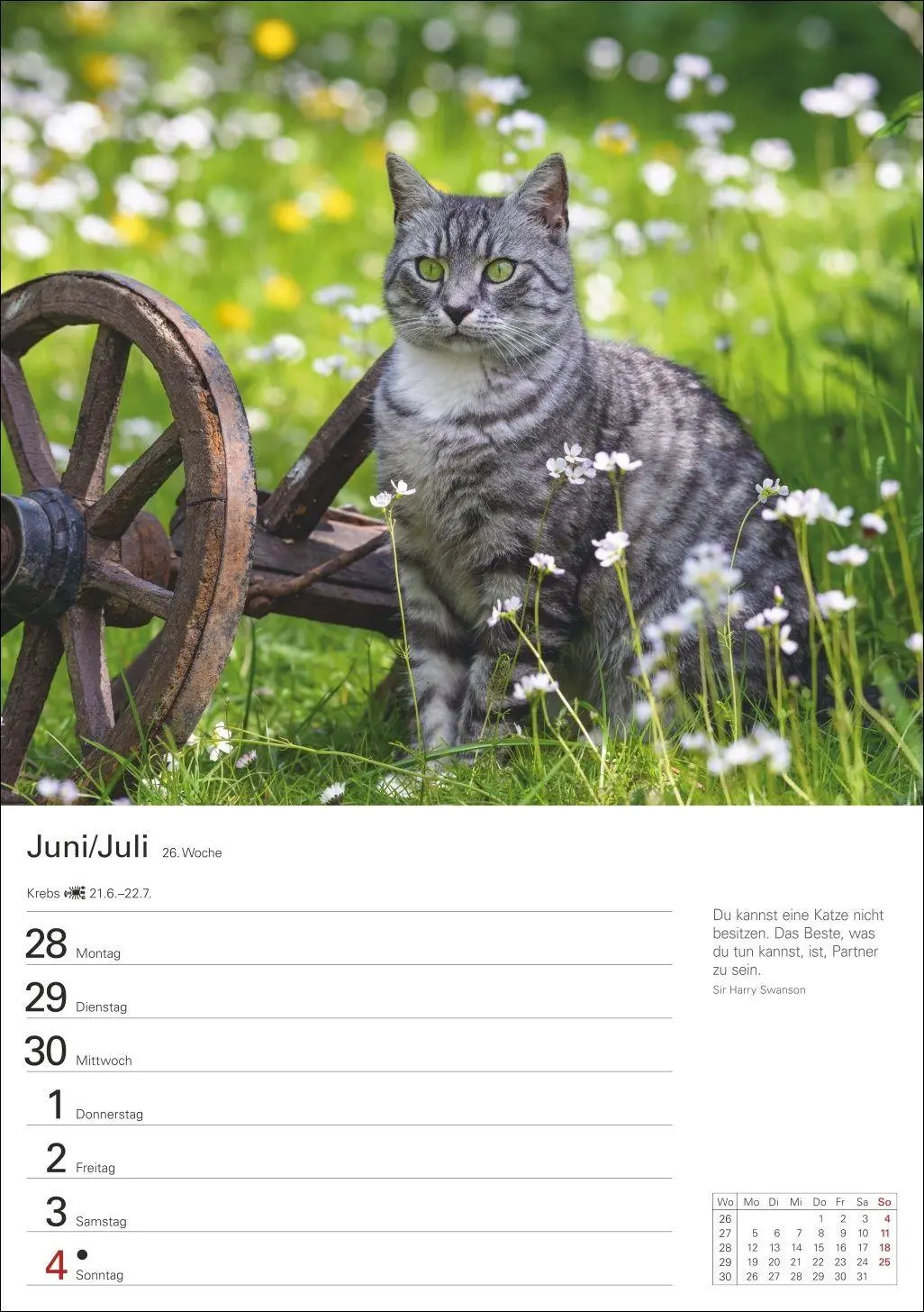 Bild: 9783840038938 | Katzen Wochenplaner 2027 - 53 faszinierende Fotografien | Huhnold