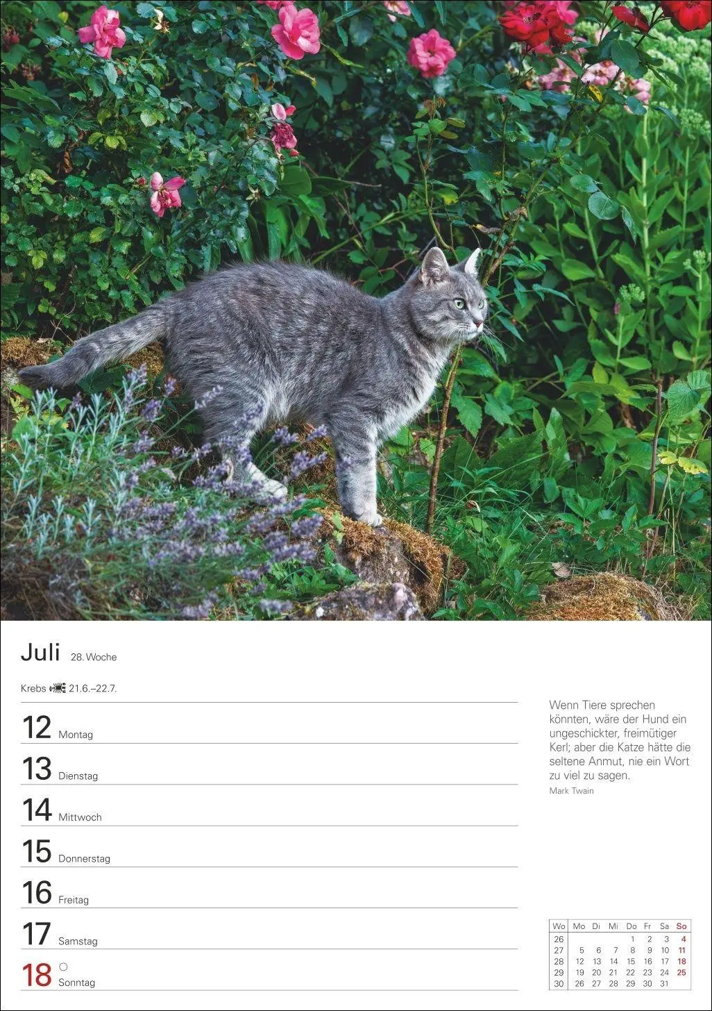 Bild: 9783840038938 | Katzen Wochenplaner 2027 - 53 faszinierende Fotografien | Huhnold